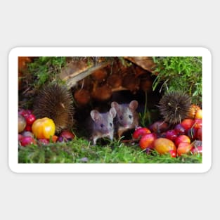 two little mice in a log pile house Sticker